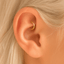Plain Surgical Steel Clicker Hoop – Waterproof & Hypoallergenic.