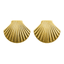 Golden Seashell Stud Earrings.