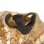 14K Gold-Plated Statement Drop Stud Earrings