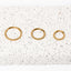 Twist Clicker Hoop Earring – Surgical Stainless Steel