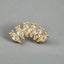 Gold Screwback Piercing Stud – 6mm Bar, CZ Charm, Multiple Shapes.