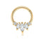 Crown Clicker Hoop Earrings – 16G  | Hypoallergenic