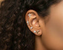 Close-up of an ear with multiple earrings against a blurred background