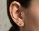 Close-up of an ear wearing gold earrings with a neutral background