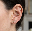 Close-up of an ear with multiple gold earrings on a blurred background