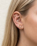 Close-up of an ear with multiple earrings on a neutral background