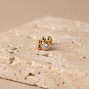 Paw Print CZ Flat Back Piercing Stud- A gold paw-print stud earring with a clear round gemstone, resting on a textured beige stone slab against a warm beige background.
