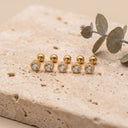 Halo CZ Cartilage Stud