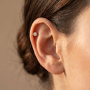 Halo CZ Cartilage Stud